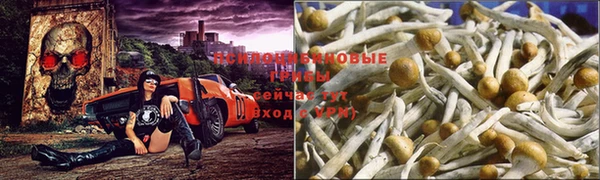 тгк Аркадак